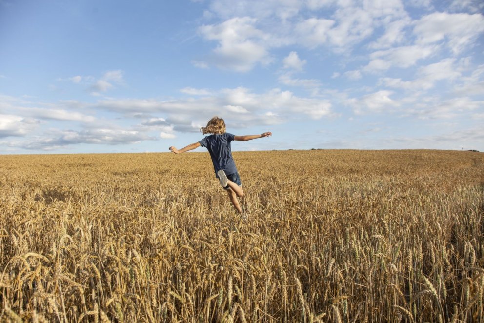 Sumarlokun Ráðgjafar- og greiningarstöðvar 8. júlí  - 6. ágúst 2024