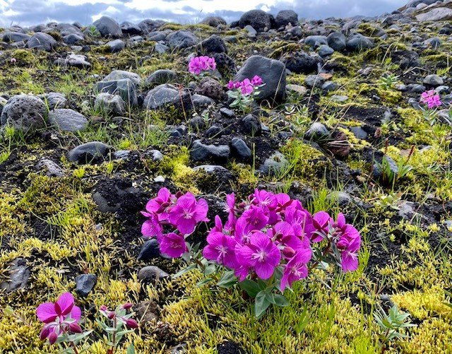 Greiningar- og ráðgjafarstöð hefur opnað á ný eftir sumarfrí