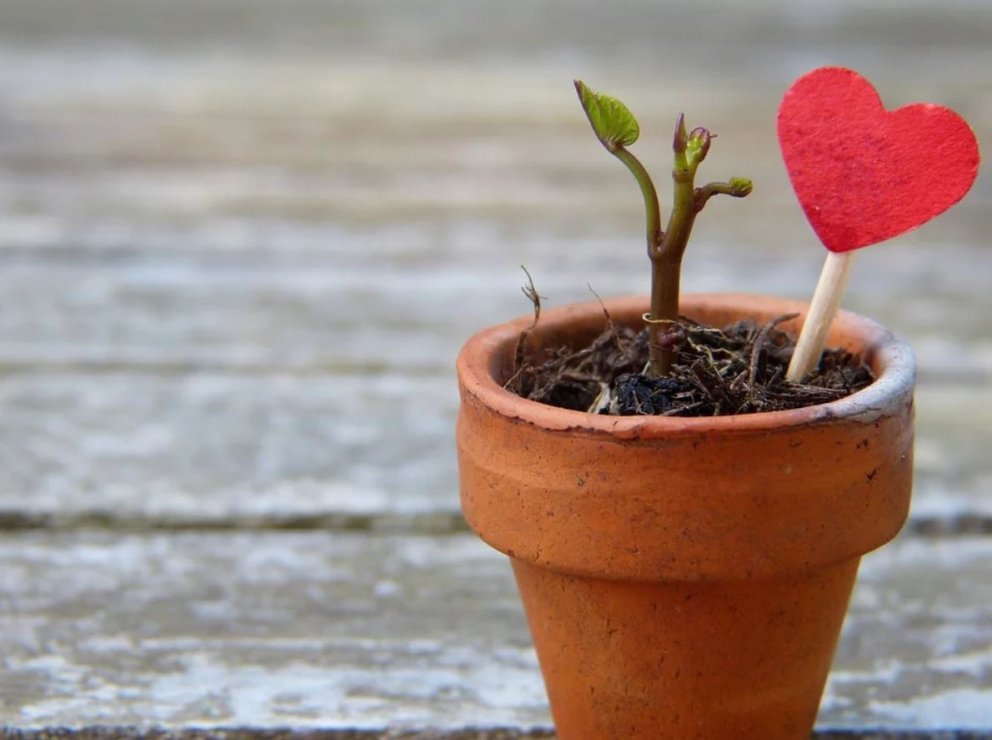 Leiðbeiningar til aðstandenda langveikra barna