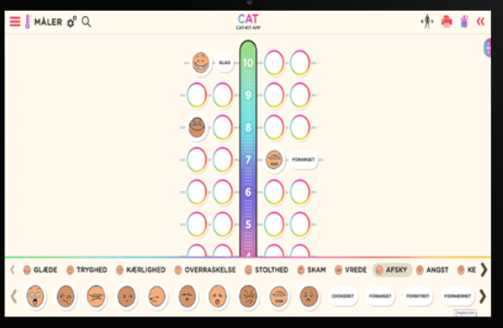 Námskeið um CAT-kassann