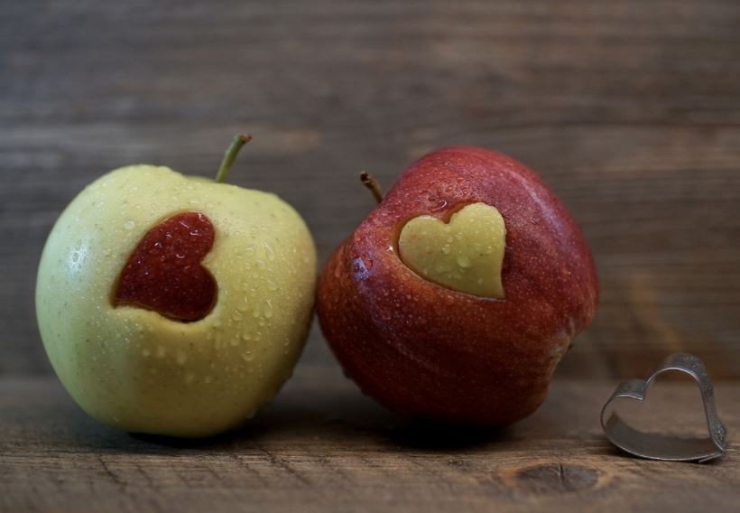 Ráðstefna um fæðuinntökuerfiðleika barna í ágúst 2021