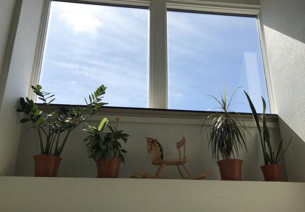 Námskeið haustannar