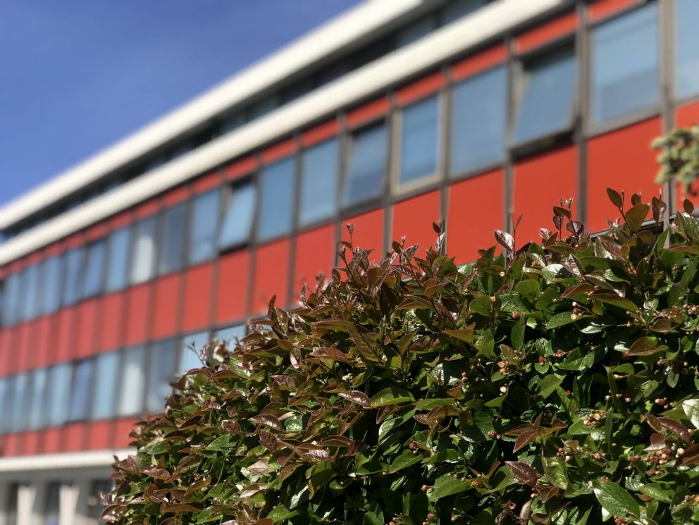 Ársskýrsla Greiningar- og ráðgjafarstöðvar 2018