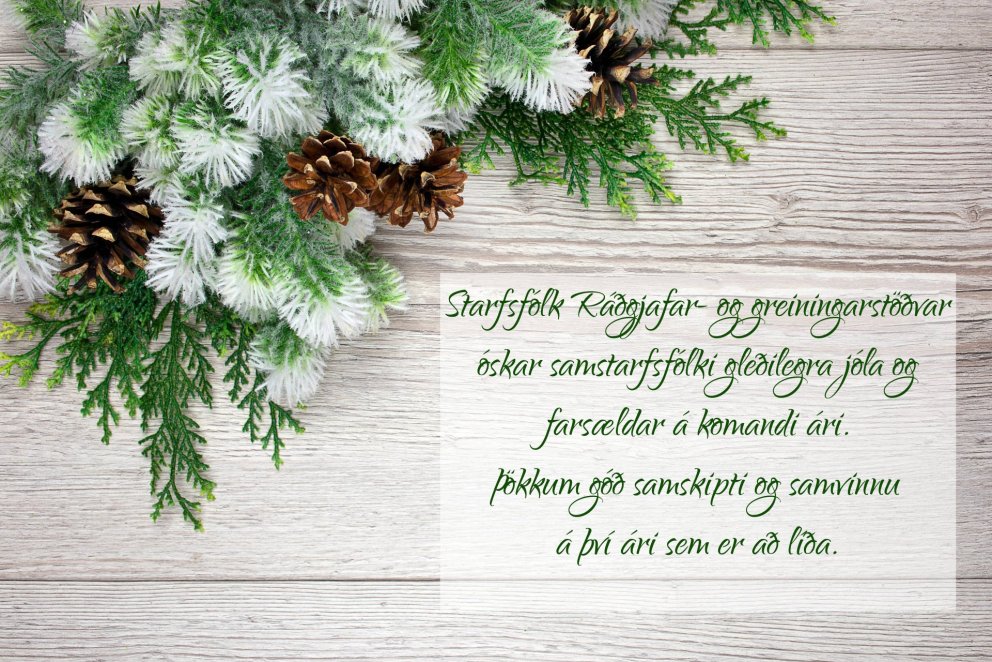 Starfsfólk RGR óskar öllum gleðilegra jóla!