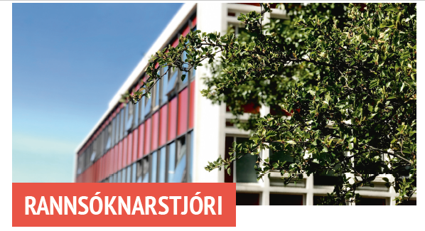 Rannsóknarstjóri óskast