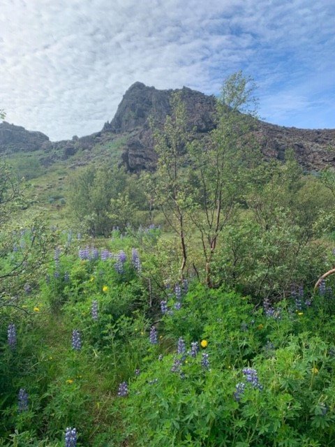 Lokað vegna sumarleyfa