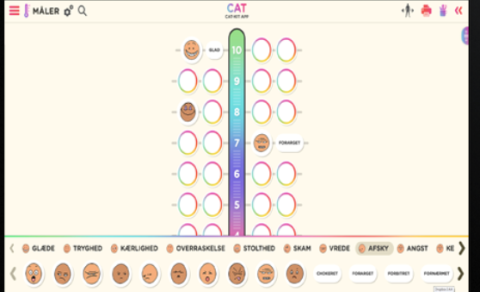 Námskeið um Cat kassann