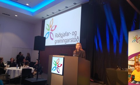 Vorráðstefna RGR - myndir