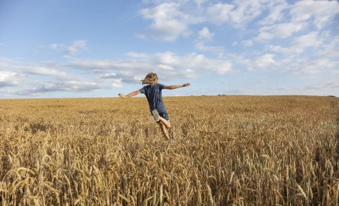 Sumarlokun Ráðgjafar- og greiningarstöðvar 8. júlí  - 6. ágúst 2024
