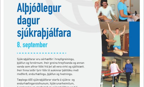 Alþjóðlegur dagur sjúkraþjálfunar