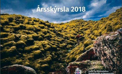 Forsíða ársskýrslunnar