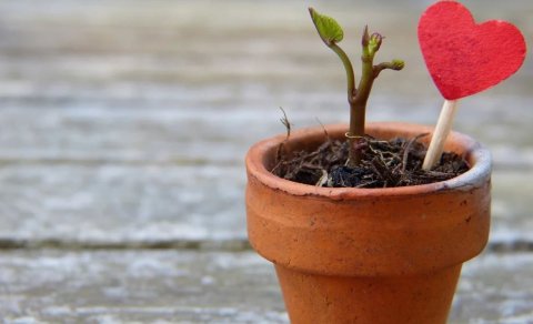 Leiðbeiningar til aðstandenda langveikra barna
