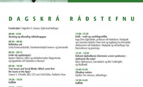 BUGL ráðstefna: Hinn gullni meðalvegur