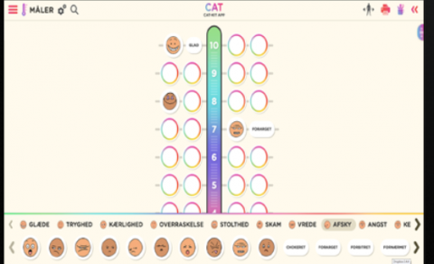 Námskeið um CAT-kassann
