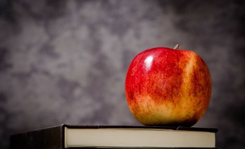 Aukanámskeið í Atferlisíhlutun og AEPS