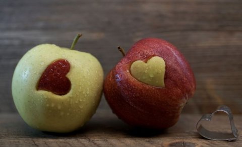 Ráðstefna um fæðuinntökuerfiðleika barna í ágúst 2021