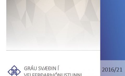 Skýrsla um gráu svæðin í velferðarþjónustunni