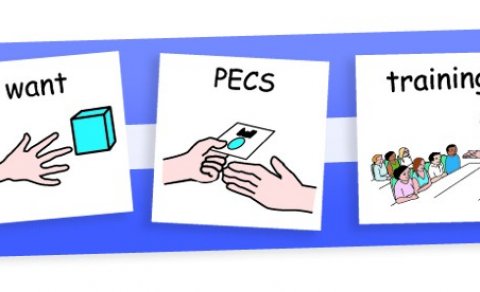 Grunnnámskeið í PECS