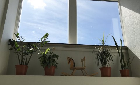 Námskeið haustannar