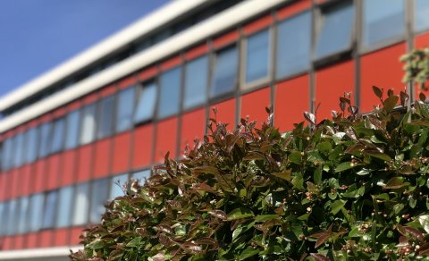 Ársskýrsla Greiningar- og ráðgjafarstöðvar 2018