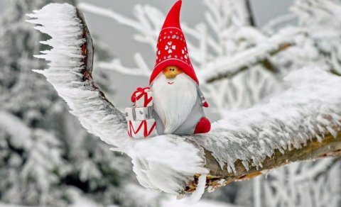 Afgreiðsla GRR lokuð frá 23. des til 4. jan. Gleðileg jól!