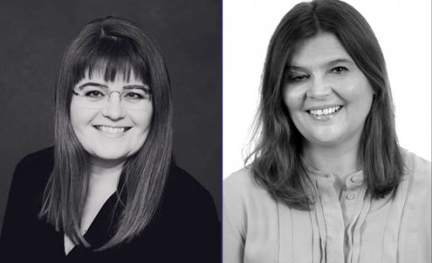 Verkefnastjórar þróunarverkefnisins