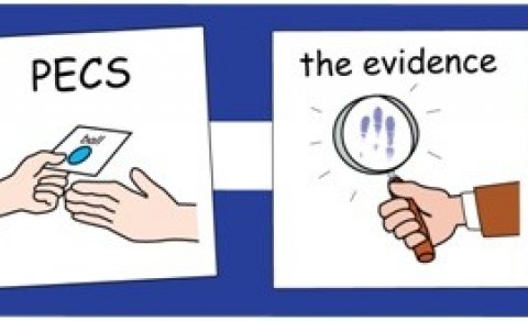 PECS framhaldsnámskeið