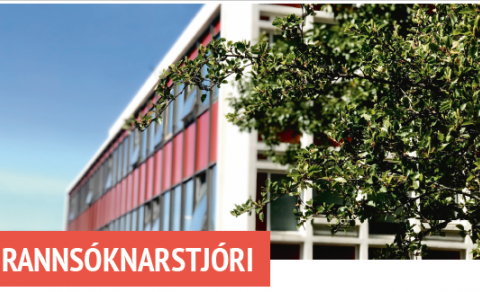 Rannsóknarstjóri óskast