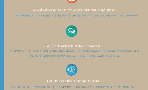 Hlutverk talmeinafræðinga