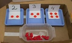 Námskeið í skipulagðri kennslu